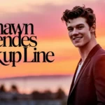 Shawn Mendes Pick Up Line
